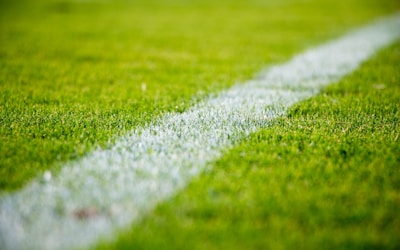 体育数据案例